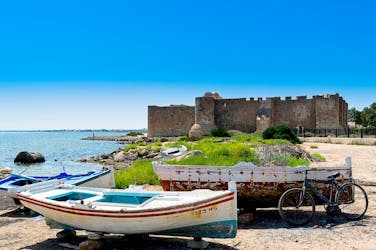 Half-day boat tour with lunch from Hammamet and Nabeul